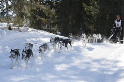 San Bernardino 2011